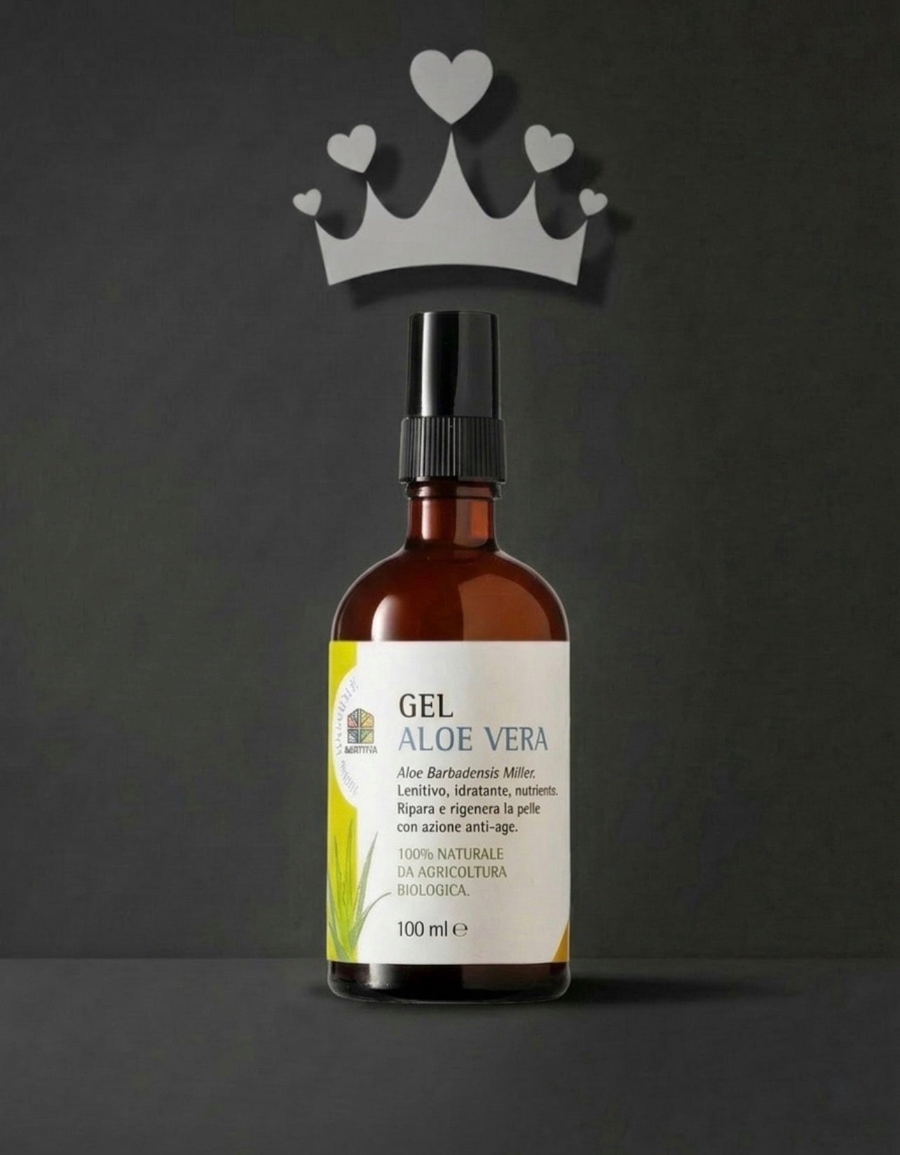 Gel Aloe Vera 100 ml